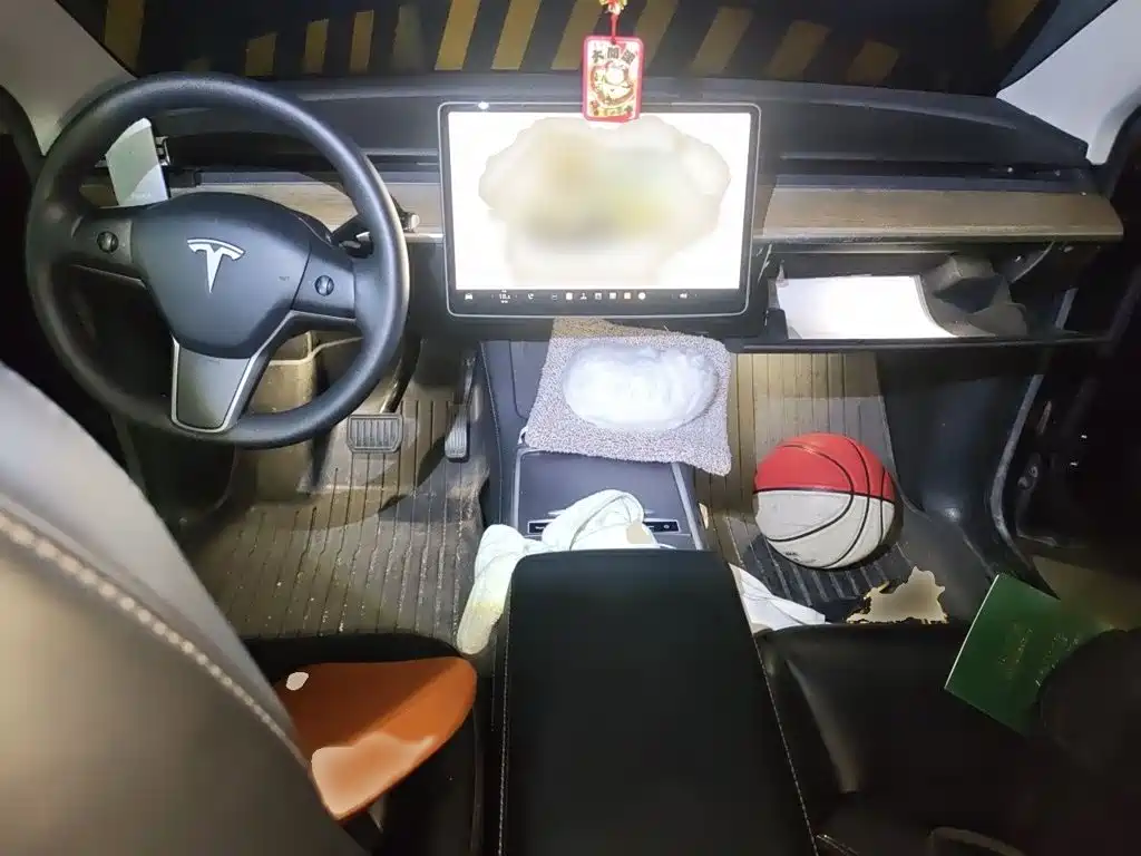 Tesla Model Y — миниатюра 13