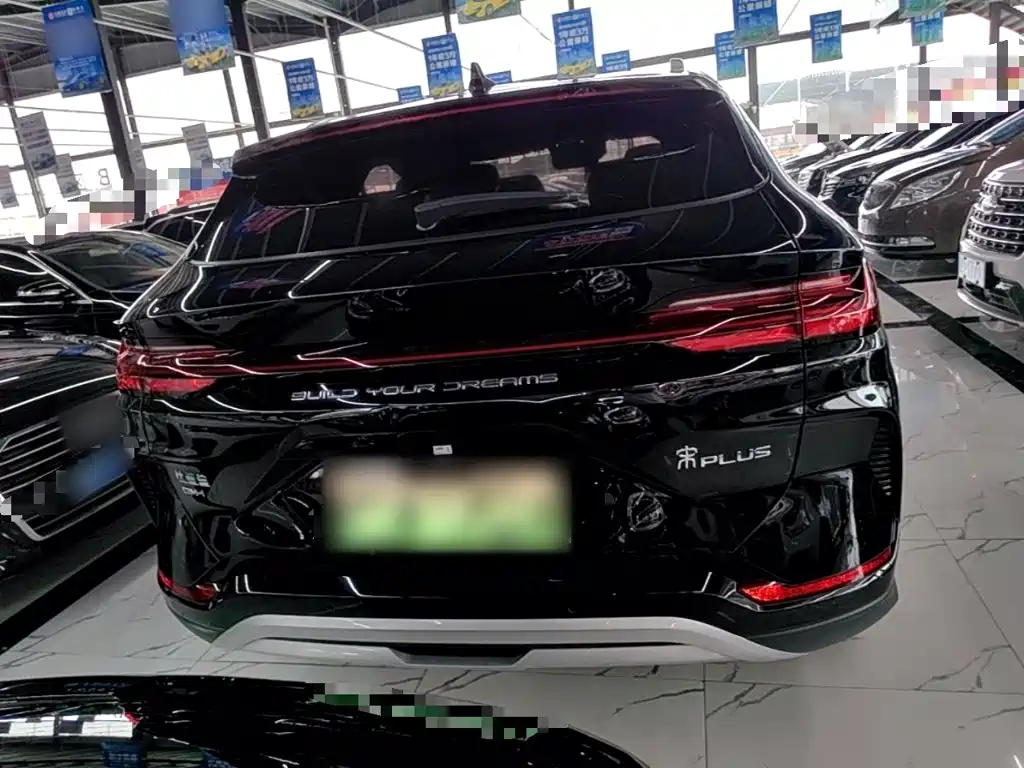 BYD PLUS New Energy — миниатюра 6