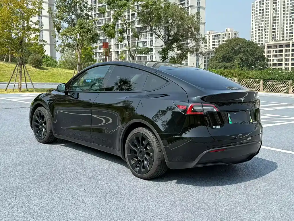 Tesla Model Y — миниатюра 7
