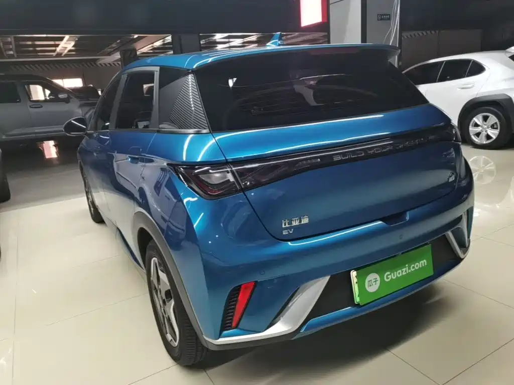 BYD Dolphin 2021 405km Fashion