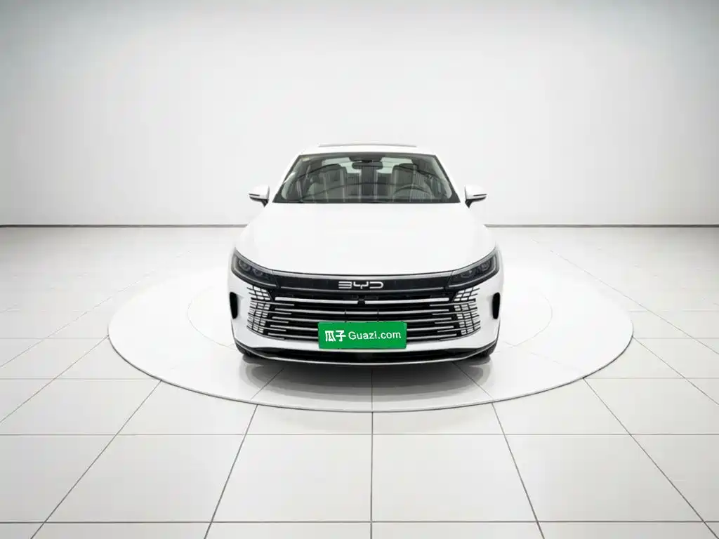 BYD Destroyer 05 — миниатюра 2