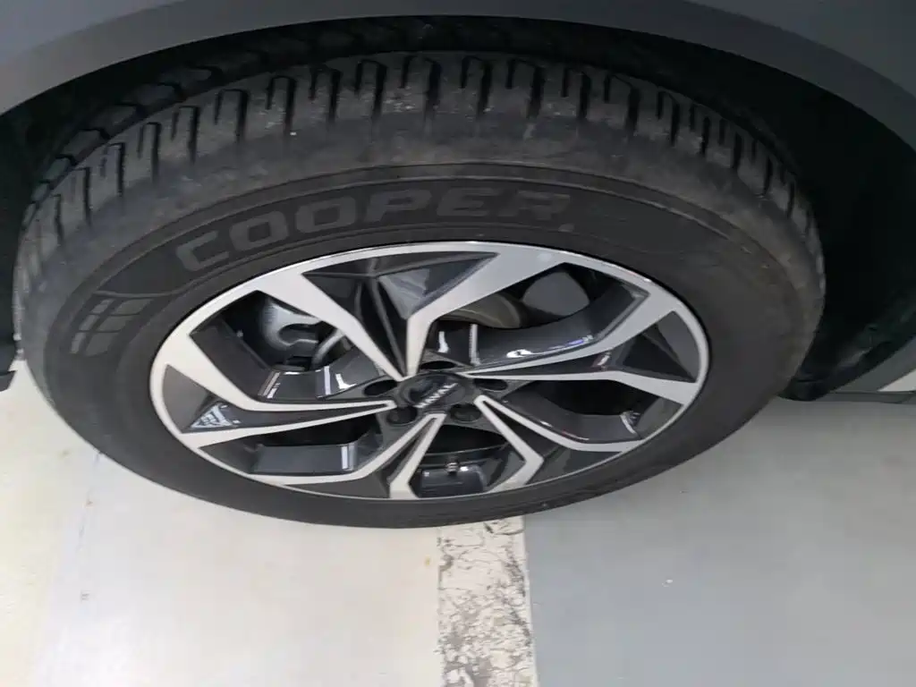 Haval Xiaolong MAX — миниатюра 23