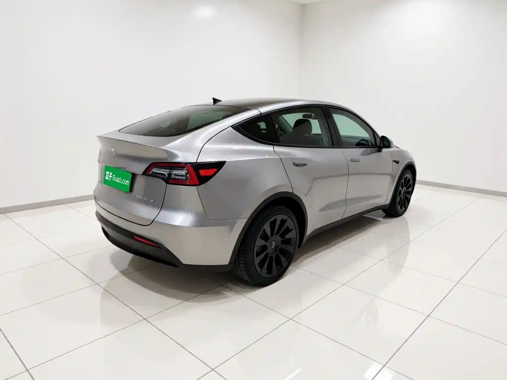 Tesla Model Y — миниатюра 4