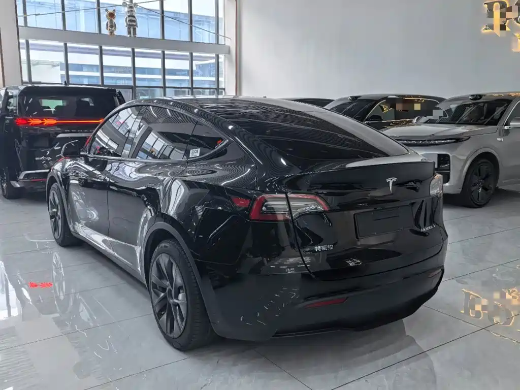 Tesla Model Y — миниатюра 5