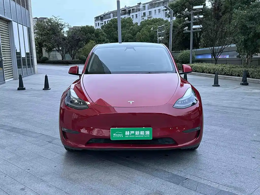 Tesla Model Y — миниатюра 2