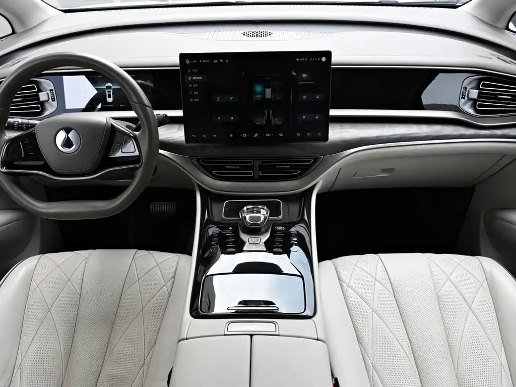 Denza Denza D9 — миниатюра 12