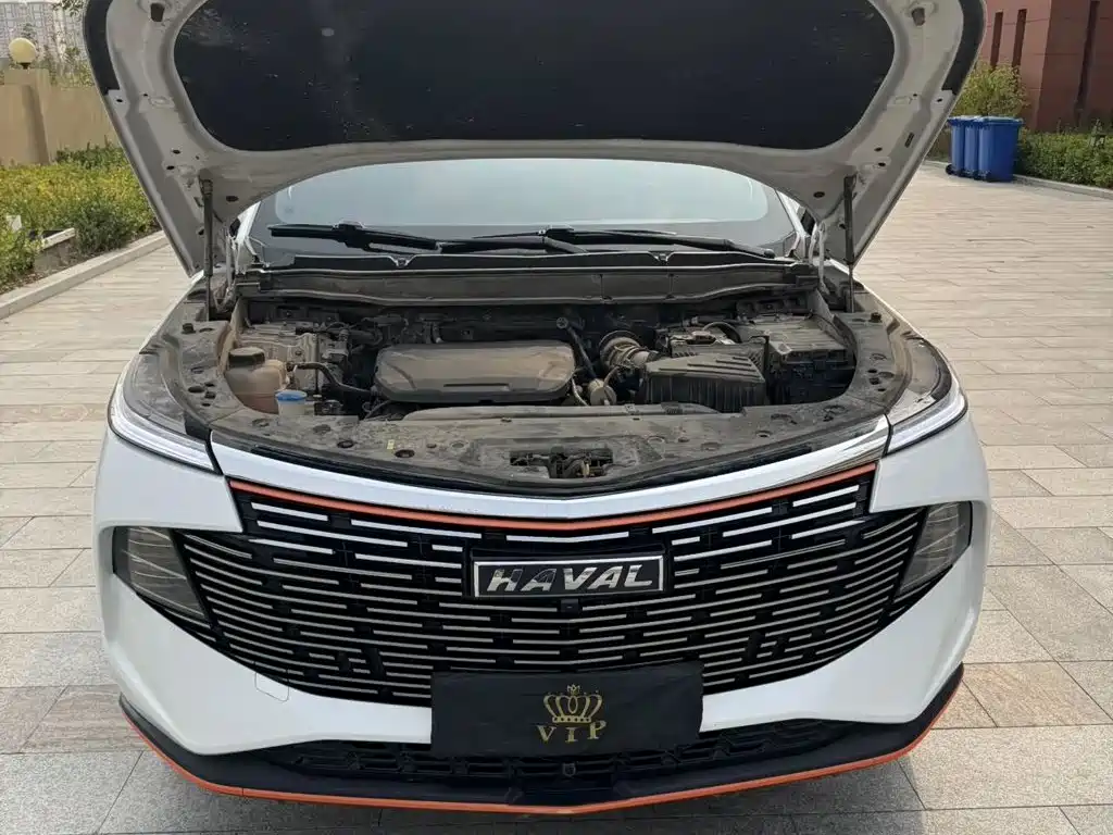 Haval Shenshou — миниатюра 6