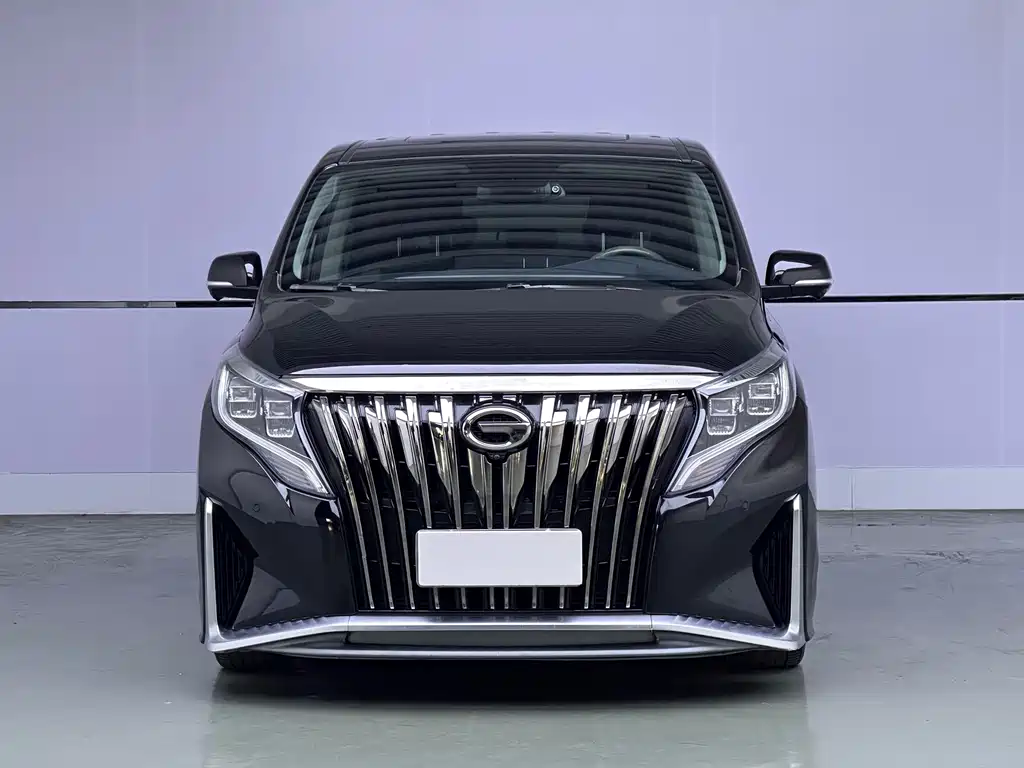 GAC Motor Trumpchi M8 — миниатюра 2