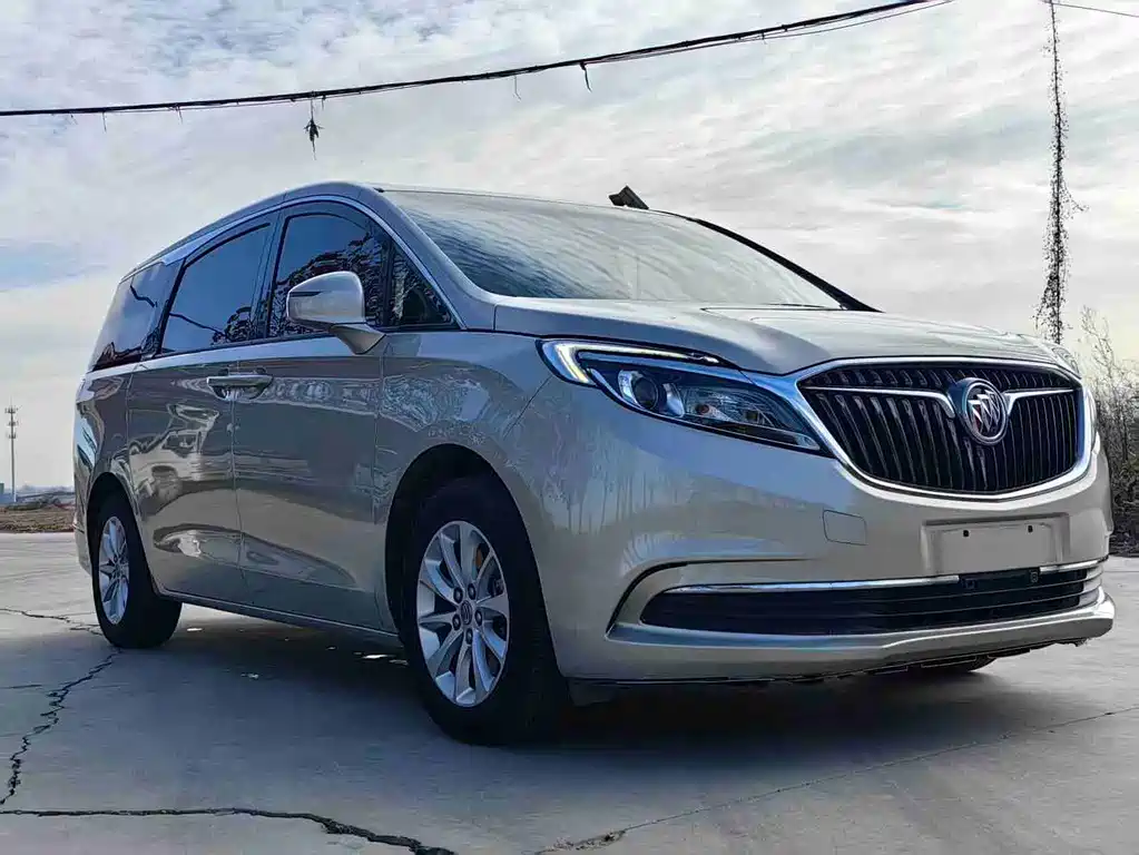 Buick GL8 — миниатюра 3