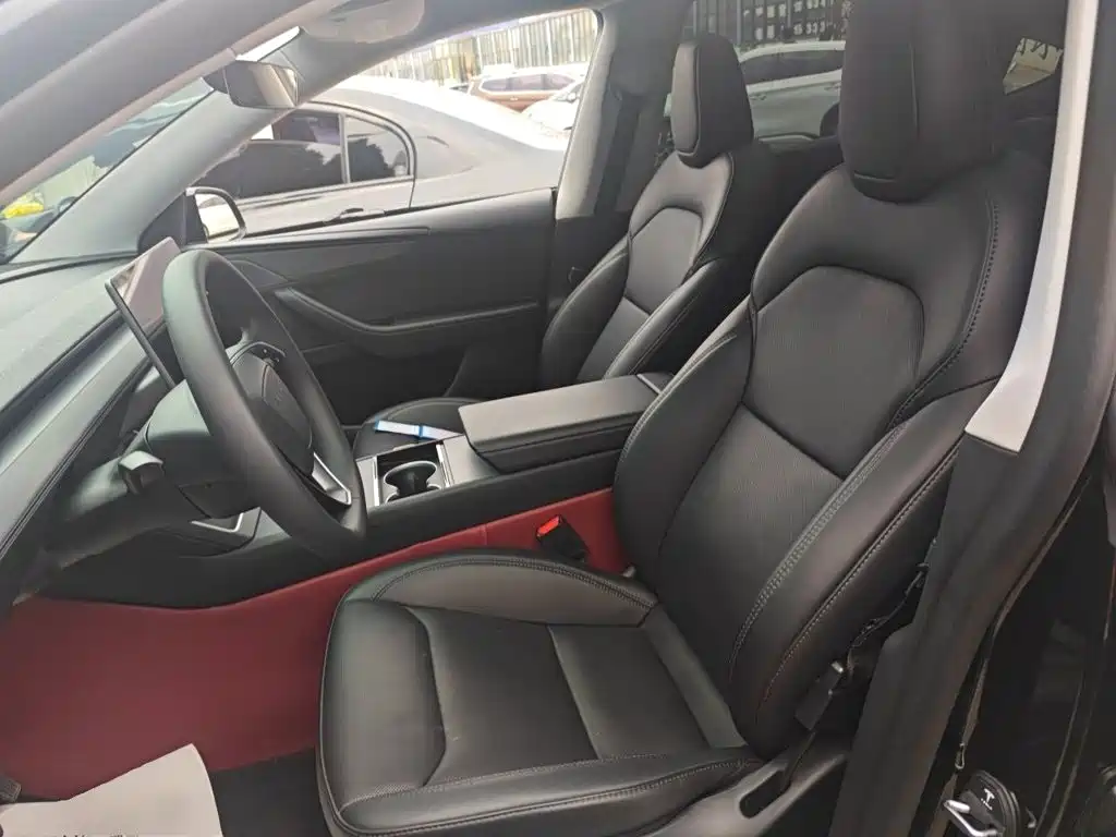 Tesla Model Y — миниатюра 11