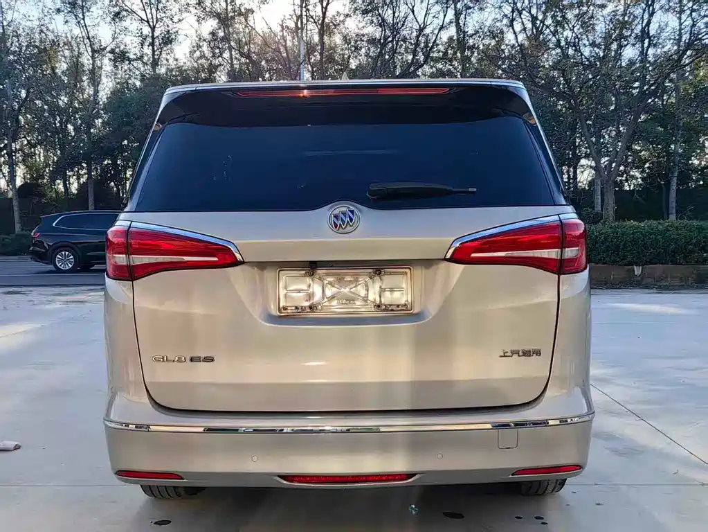 Buick GL8 — миниатюра 5