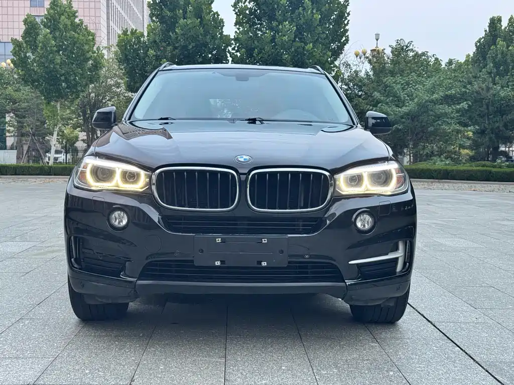 BMW X5 (Import) — миниатюра 2