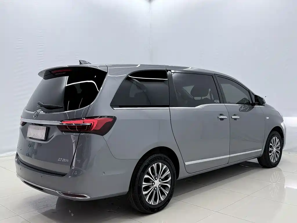 Buick GL8 — миниатюра 17