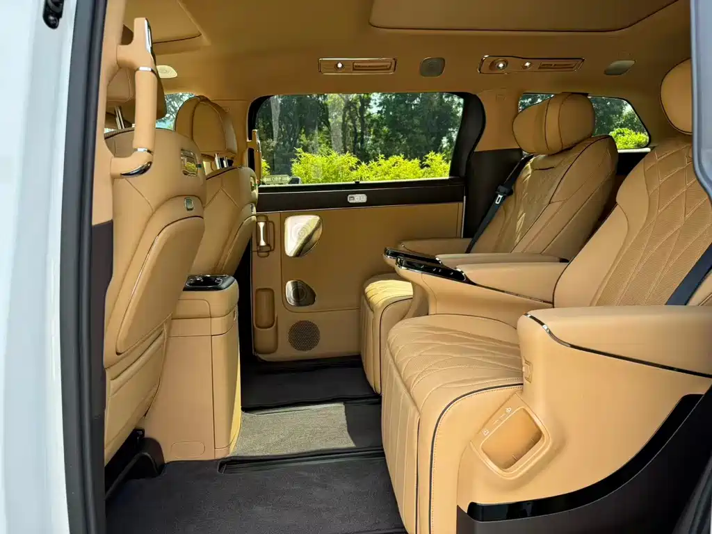 Denza Denza D9 — миниатюра 15