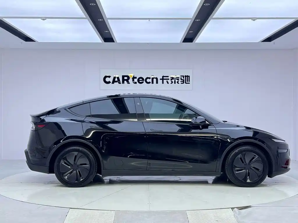 Tesla Model Y — миниатюра 6