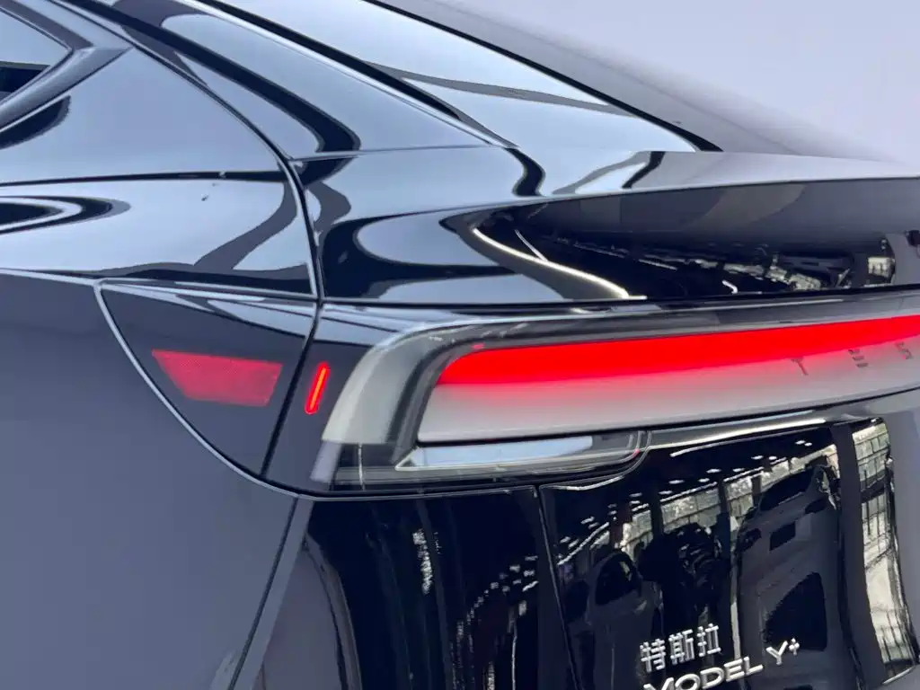 Tesla Model Y — миниатюра 10