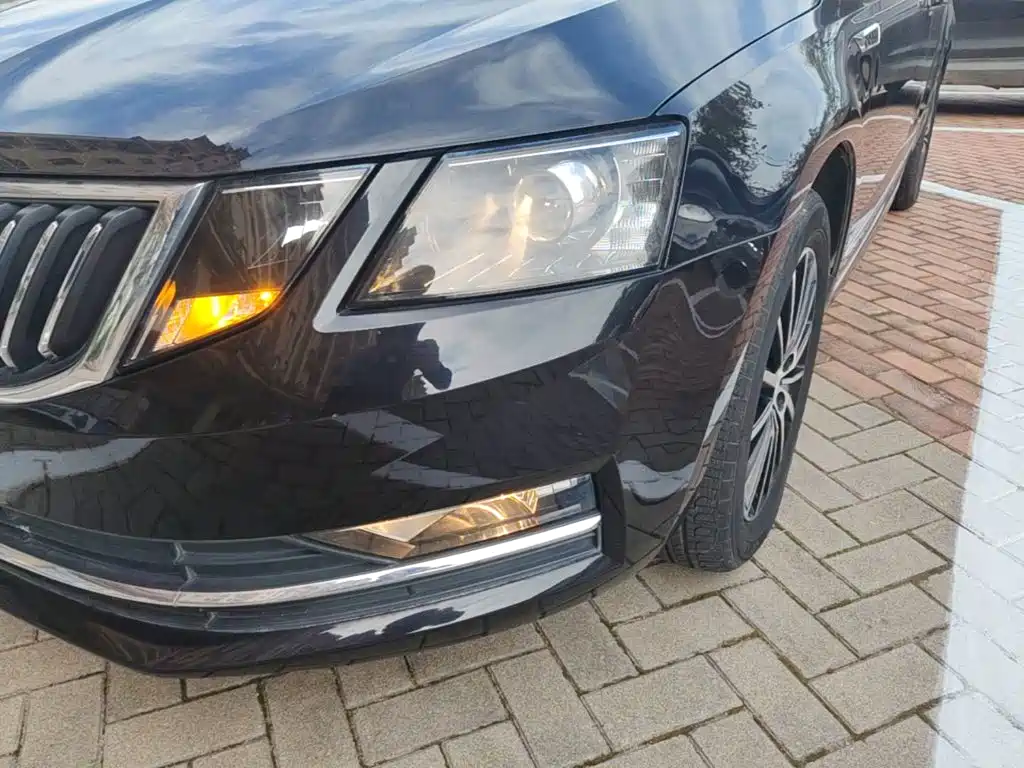 Skoda Octavia — миниатюра 24