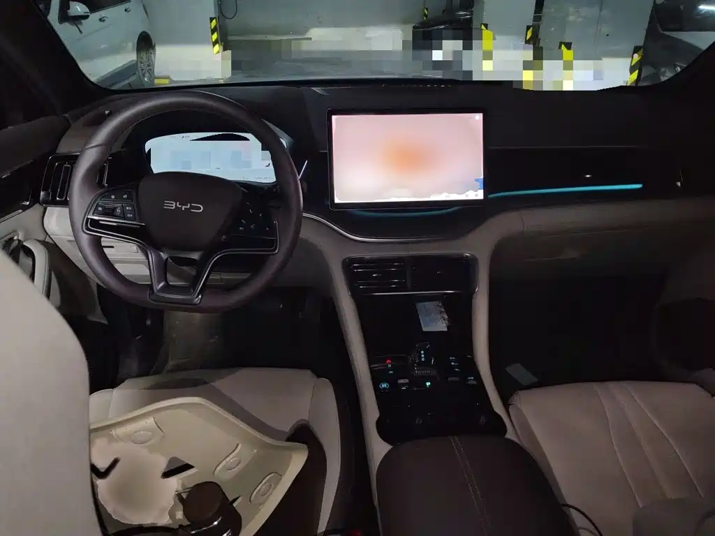 BYD PLUS New Energy — миниатюра 13