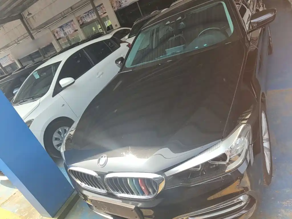 BMW 5 Series 5 2019 530Li Lead Luxury