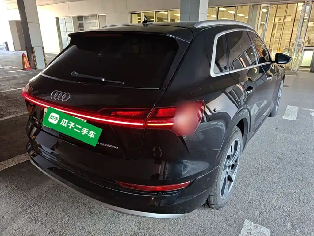 Audi e-tron (Import) — миниатюра 7