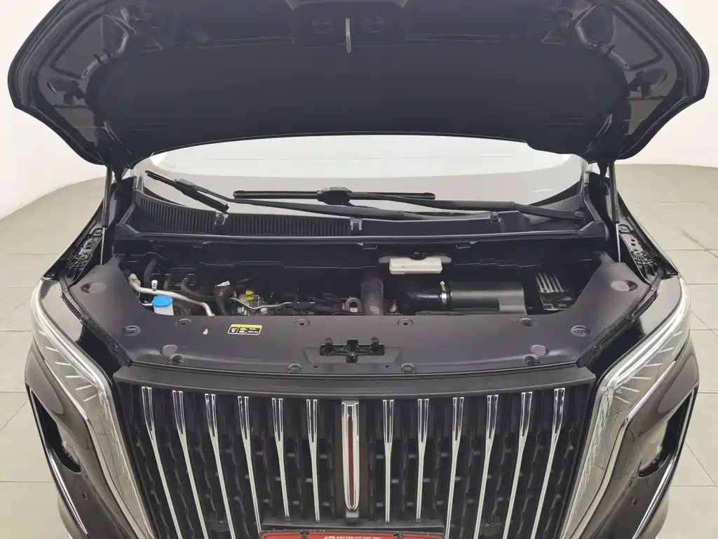 Hongqi Hongqi HQ9 — миниатюра 6