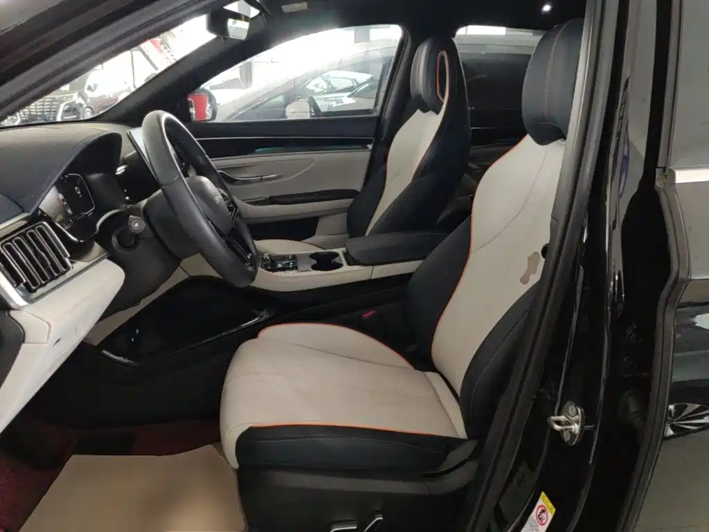 BYD PLUS New Energy — миниатюра 15