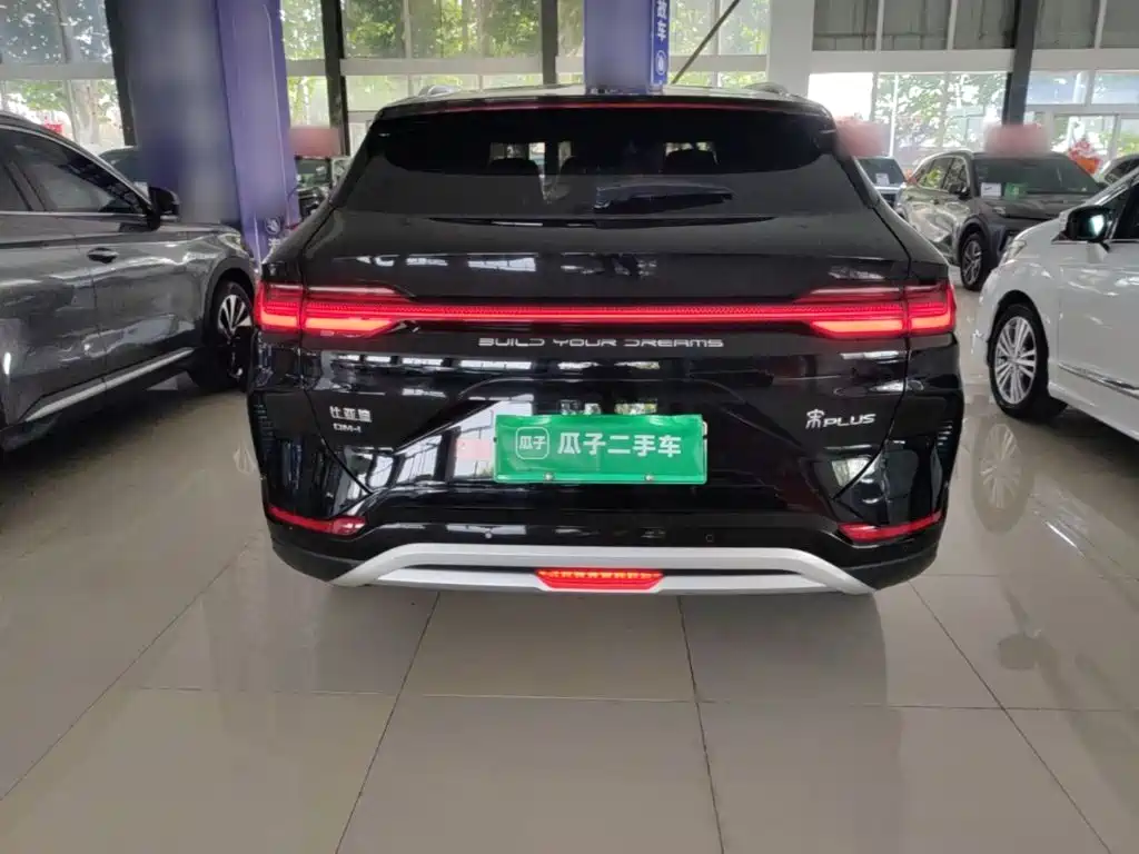 BYD PLUS New Energy — миниатюра 6