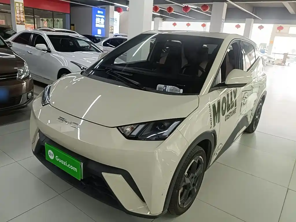 BYD Seagull — миниатюра 2
