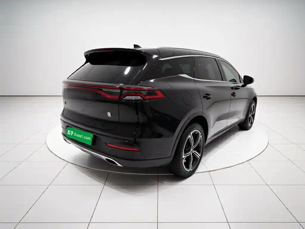 BYD Tang New Energy — миниатюра 6