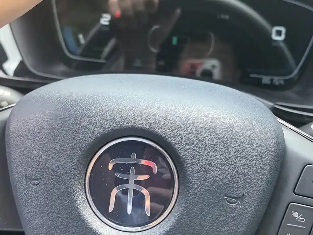 BYD PLUS New Energy — миниатюра 15