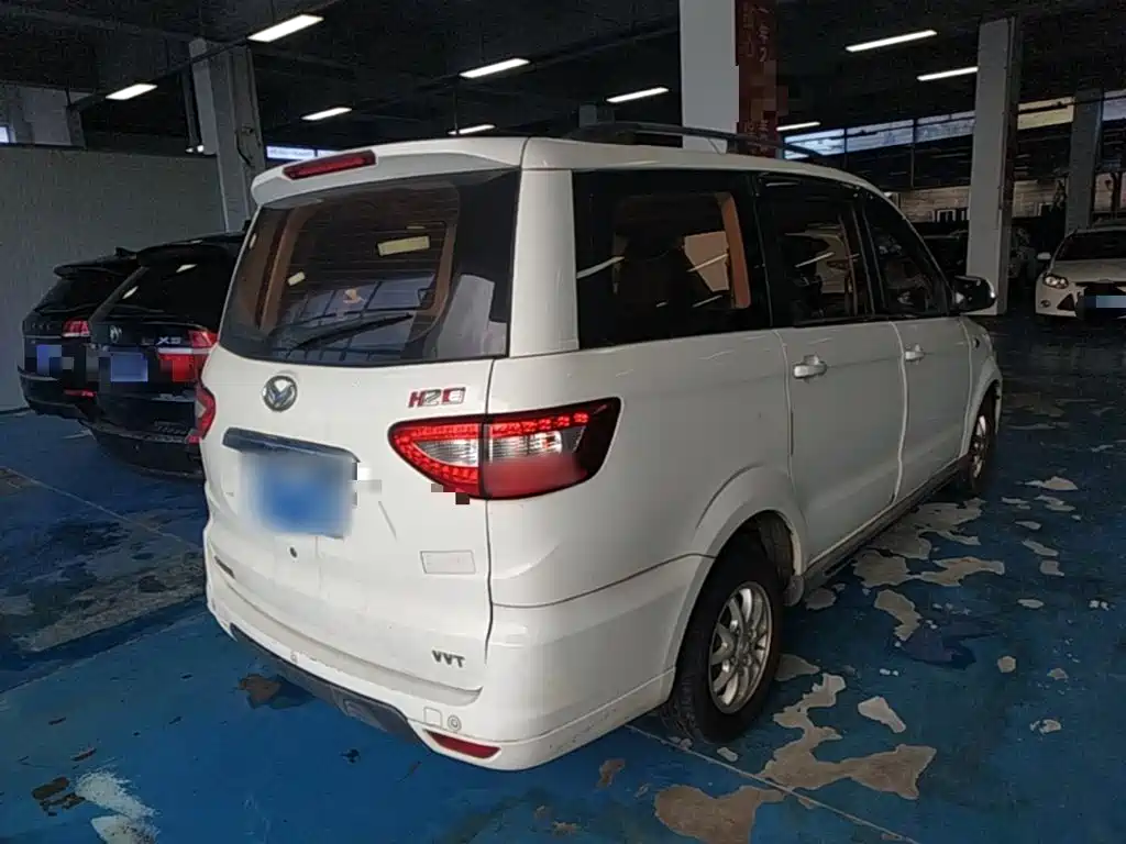 Huasu Huansu H2 — миниатюра 7