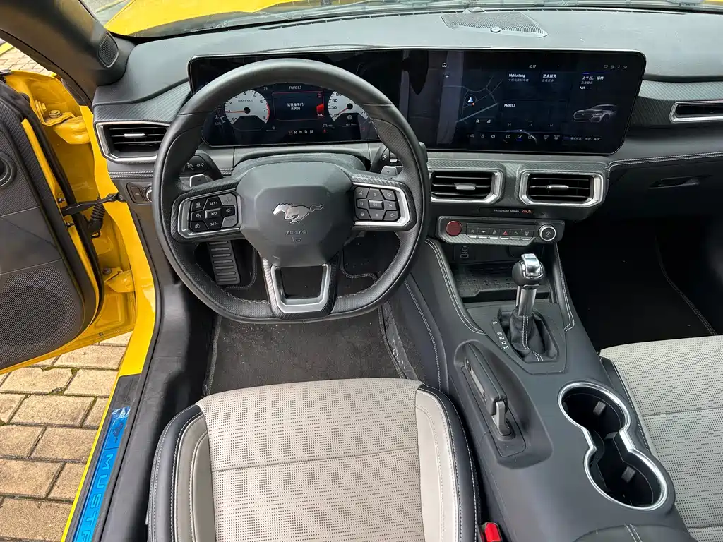 Ford Mustang — миниатюра 11