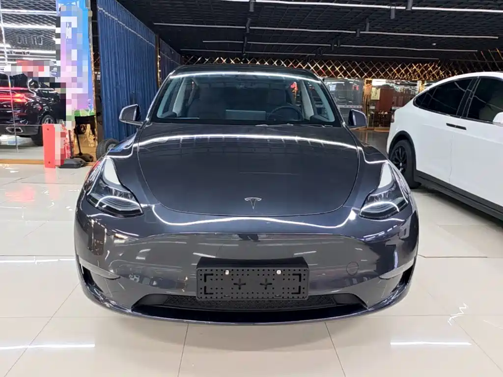 Tesla Model Y — миниатюра 3