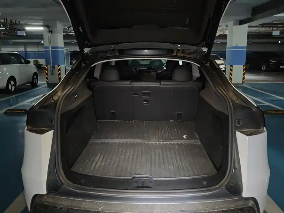 Tesla Model Y — миниатюра 4