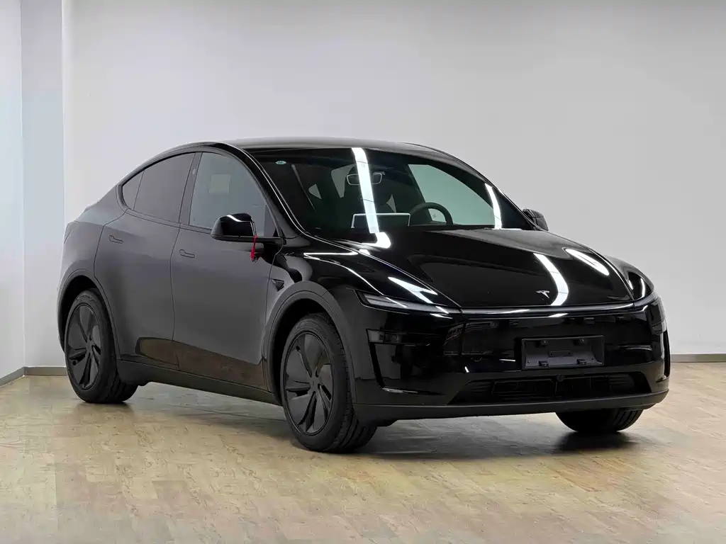 Tesla Model Y — миниатюра 3