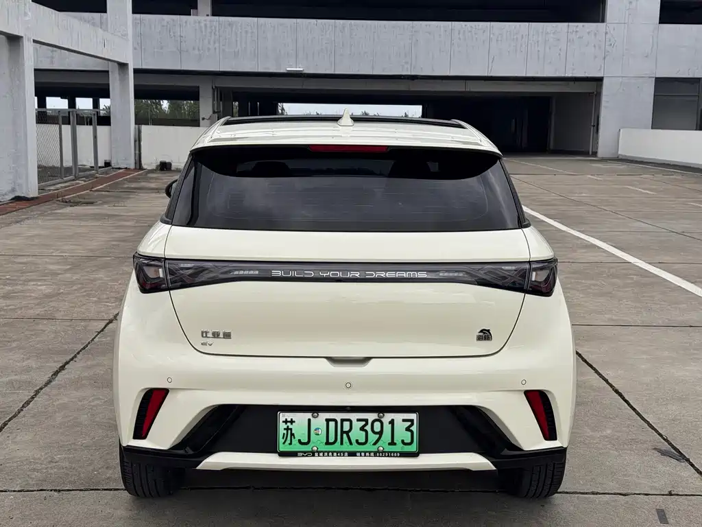 BYD Dolphin — миниатюра 18