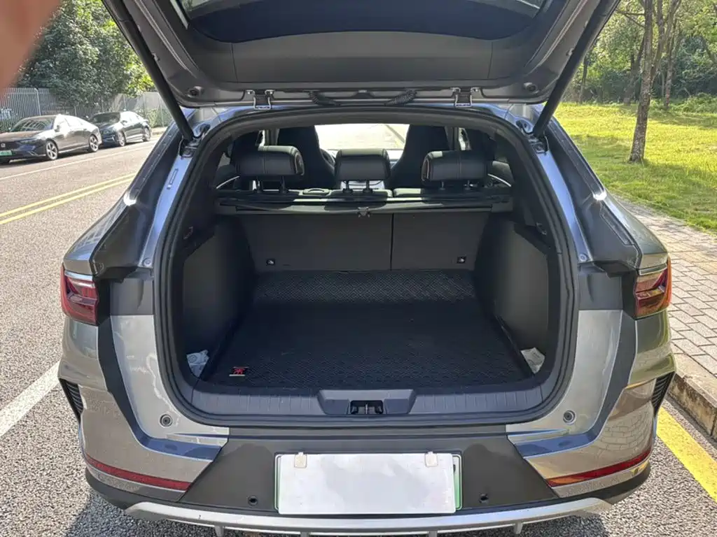 BYD PLUS New Energy — миниатюра 10