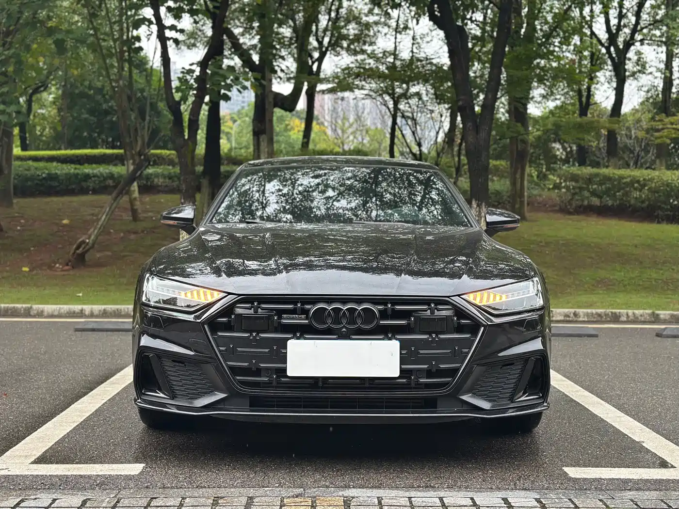 奥迪A7L 2024款 45 TFSI quattro S-line 黑武士版 2024