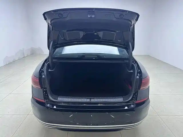 Volkswagen Passat — миниатюра 10