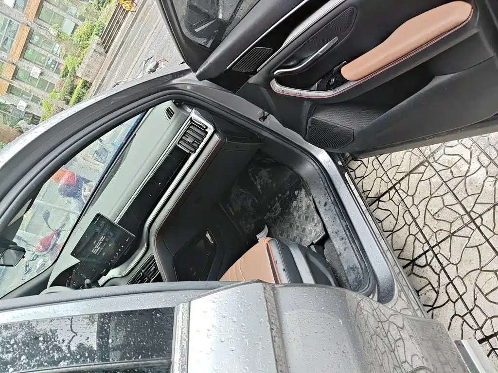 BYD PLUS — миниатюра 20