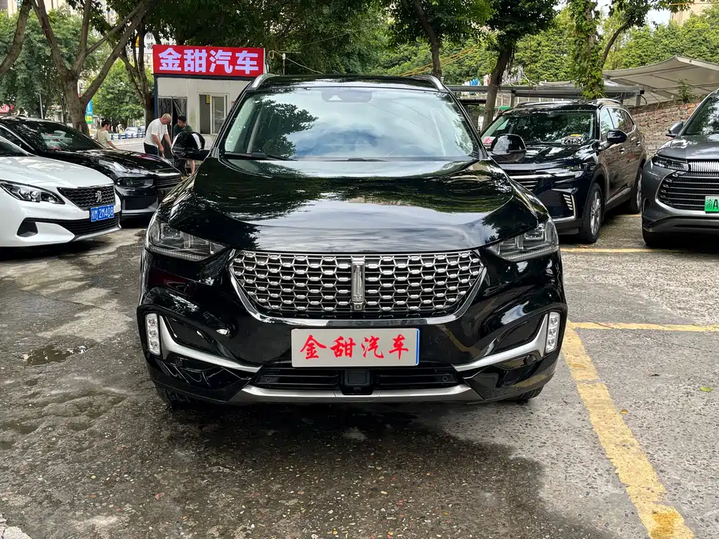 Wey Wey VV6 — миниатюра 2
