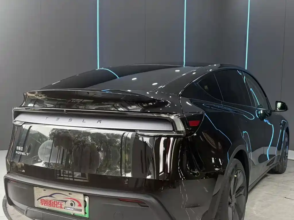 Tesla Model Y — миниатюра 6