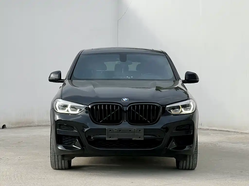 BMW X4 — миниатюра 2