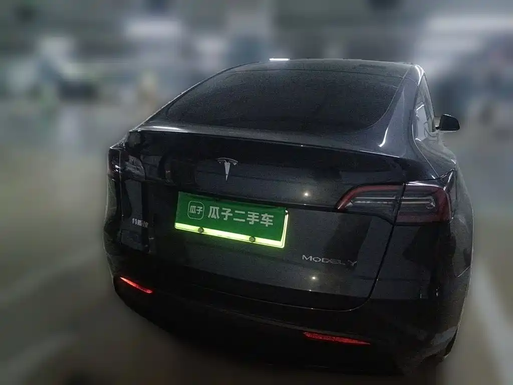 Tesla Model Y — миниатюра 3