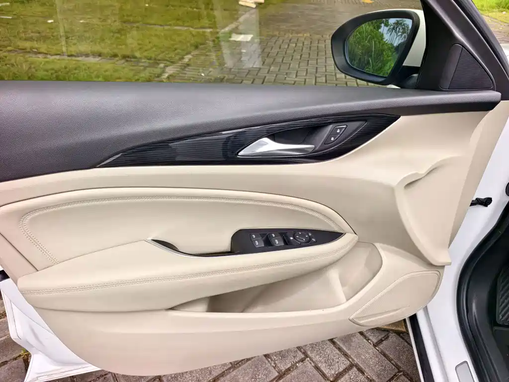 Buick Regal — миниатюра 15
