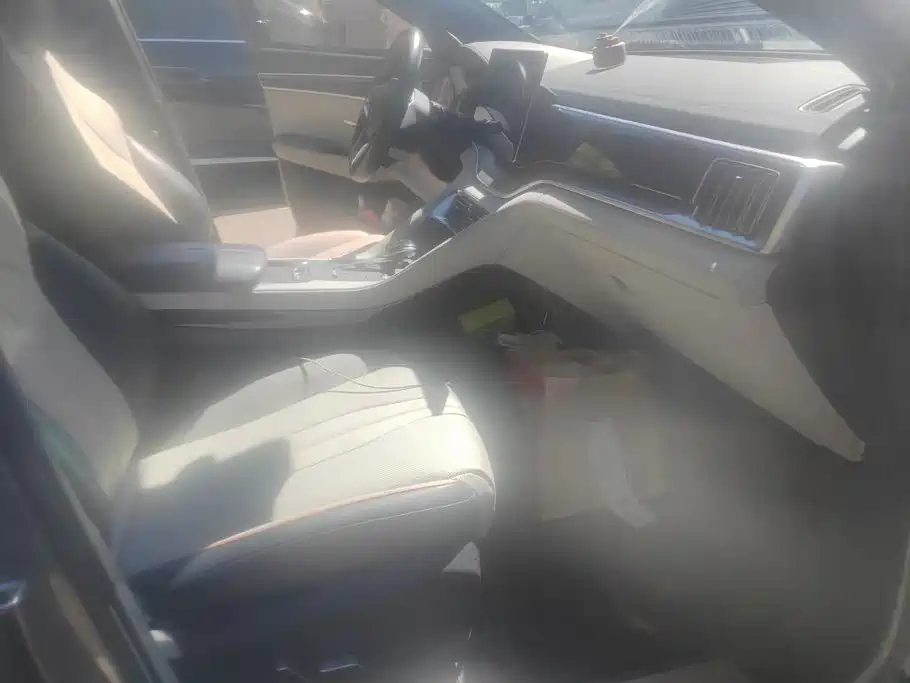 BYD PLUS New Energy — миниатюра 8