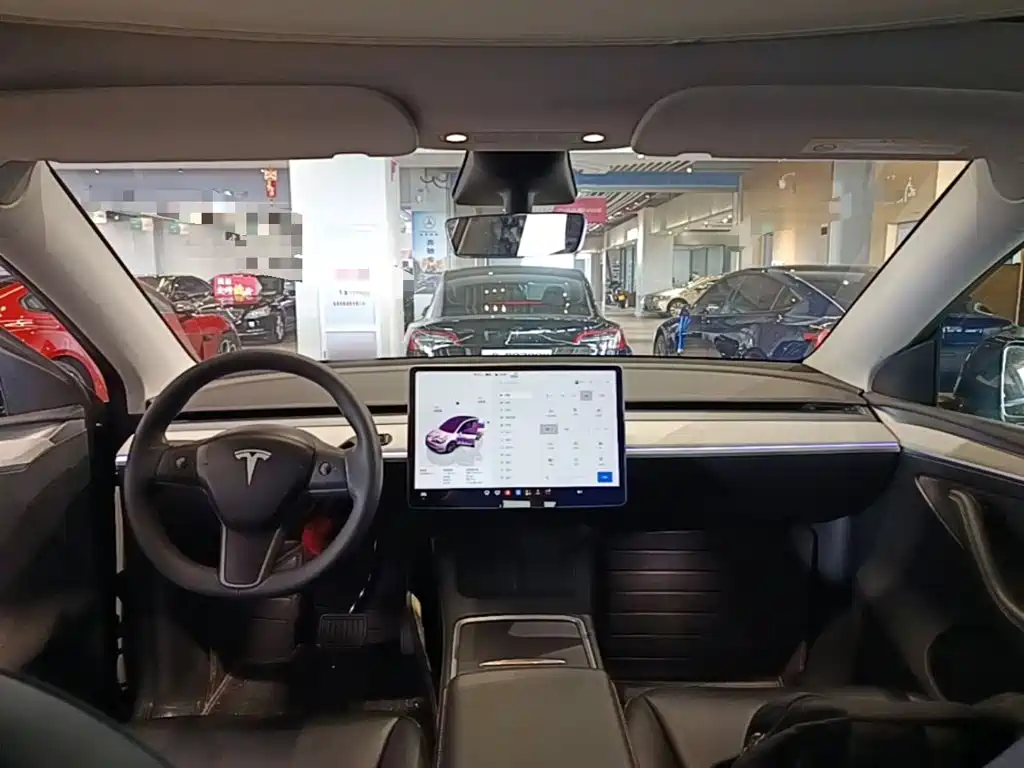 Tesla Model Y — миниатюра 10