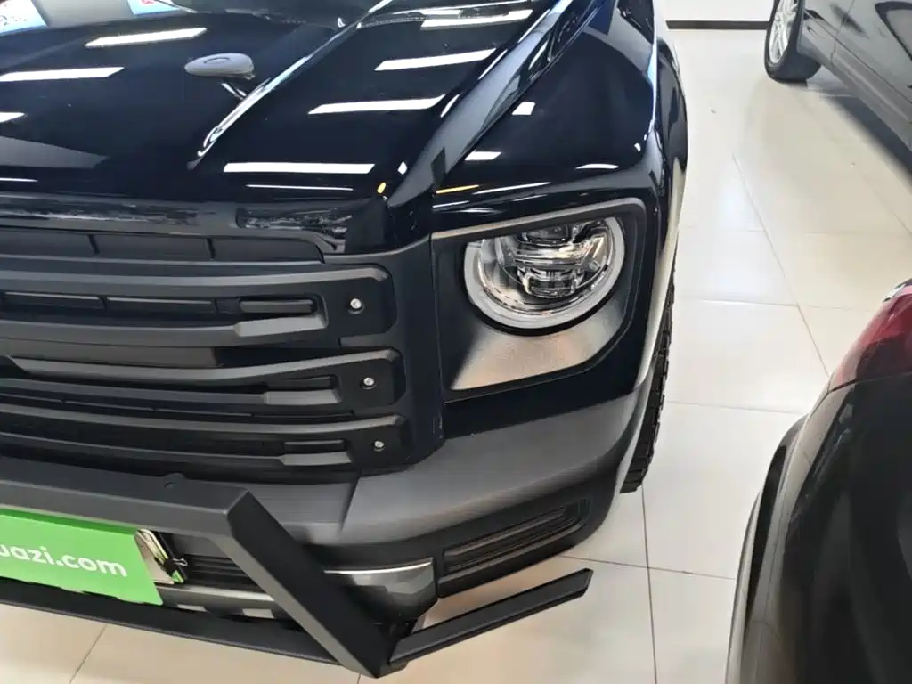Haval Menglong New Energy — миниатюра 24
