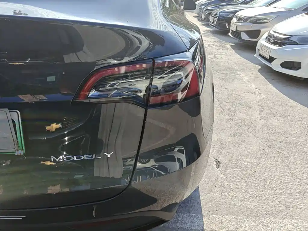 Tesla Model Y — миниатюра 8