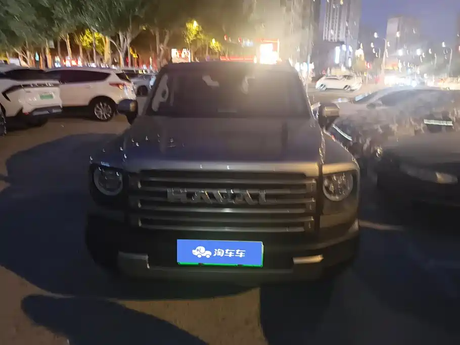 Haval Menglong New Energy — миниатюра 2